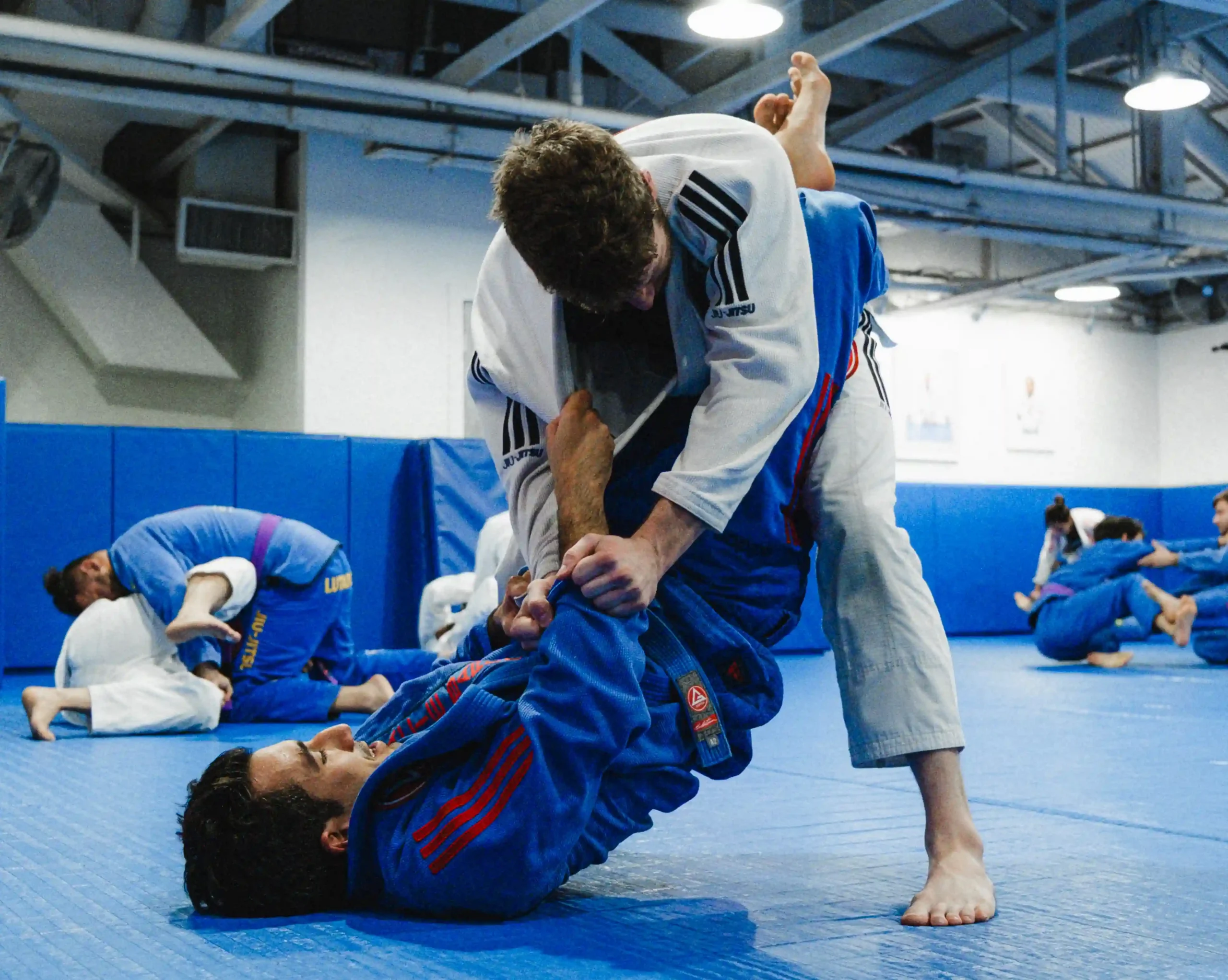 Gracie Barra Long Beach, CA - Jiu-Jitsu & Self-Defense 5 Three Gracie Barra Long Beach black belts on the mats