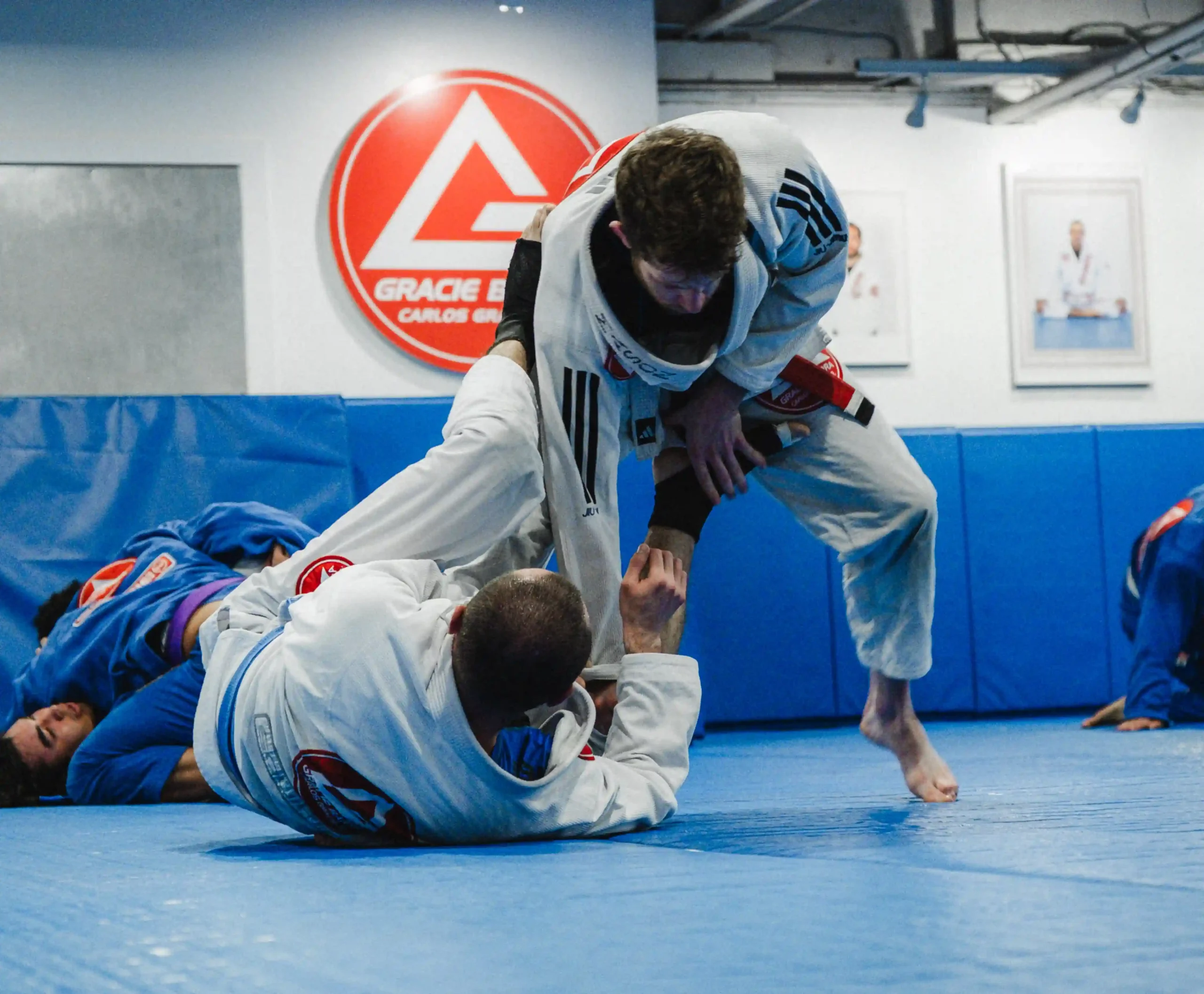 Experienced Gracie Barra Long Beach students refining their Jiu-Jitsu techniques
